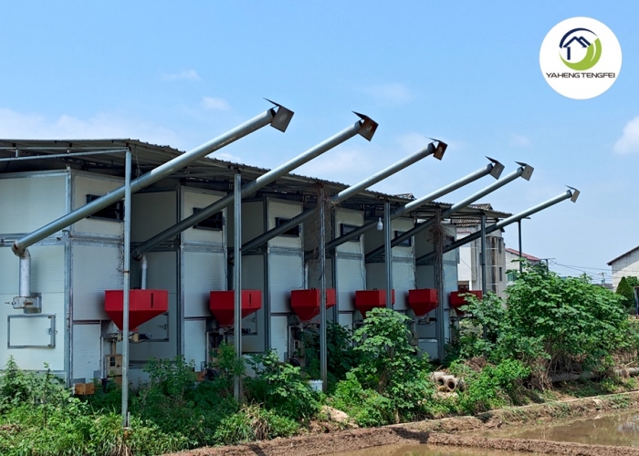 intelligent tobacco drying room